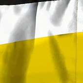 ieftine Costume de baie și pantaloni scurți de plajă-Bărbați Pantaloni Scurti Pantaloni Scurți de Înot Boxeri înot Peteci Cordon Cu buzunare Uscare rapidă Cu buzunare Pantaloni Scurti Pantaloni Surfing Plajă Sporturi Acvatice  Vară