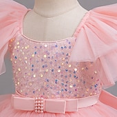 cheap Party Dresses-Kids Girls&#039; Party Dress Sequin Sleeveless Wedding Special Occasion Sequins Ruched Zipper Adorable Sweet Polyester Asymmetrical Party Dress Tulle Dress Summer Spring Fall 4-12 Years Pink Purple Green