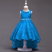 Дети Девочки Платье для вечеринки Сплошной цвет Без рукавов Выступление День рождения Красивый Милая Полиэстер Ассиметричное Платье для вечеринки Платье в стиле 50-х годов Платье A-силуэта Лето 4 Недорогие Платья для вечеринки-Дети Девочки Платье для вечеринки Сплошной цвет Без рукавов Выступление День рождения Красивый Милая Полиэстер Ассиметричное Платье для вечеринки Платье в стиле 50-х годов Платье A-силуэта Лето 4