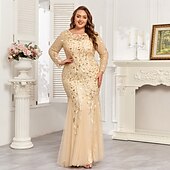 cheap Plus Size Dresses-Mermaid / Trumpet Evening Gown Sparkle Dress Formal Floor Length Long Sleeve Crew Neck Champagne Mother Of the Bride Dress Tulle with Embroidery 2025