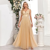 preiswerte Abendkleider-A-Linie Abendkleid Elegant Kleid Abendgesellschaft Abschlussball Bodenlang Ärmellos V Ausschnitt Gürtel / Schärpe Tüll V-Ausschnitt mit Glitzer Stickerei 2025