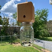 abordables Apoyo y Cuidado Animal-Trampa para abejas carpinteras de madera natural premium, 1 unidad, para colgar al aire libre, estilo caja.