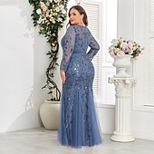 cheap Plus Size Dresses-Mermaid / Trumpet Evening Gown Sparkle Dress Formal Floor Length Long Sleeve Crew Neck Champagne Mother Of the Bride Dress Tulle with Embroidery 2025