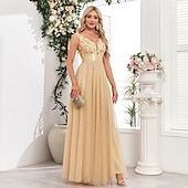 preiswerte Abendkleider-A-Linie Abendkleid Elegant Kleid Abendgesellschaft Abschlussball Bodenlang Ärmellos V Ausschnitt Gürtel / Schärpe Tüll V-Ausschnitt mit Glitzer Stickerei 2025