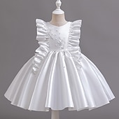 preiswerte Partykleider-Kleinkind Mädchen Partykleid Blumen Ärmellos Hochzeit Party Gerafft Reißverschluss Knotenbinde Niedlich Prinzessin Polyester Knielang Partykleid Sommer Frühling Herbst 4-7 Jahre Weiß Champagner