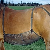 abordables Apoyo y Cuidado Animal-Máscara antimoscas Equistar de malla transpirable, malla abdominal resistente a arañazos para protección contra insectos, cómoda protección contra moscos de materiales mixtos para uso en exteriores.