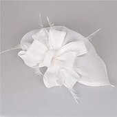 preiswerte Faszinator-Kopfstück Federn Sinamay Hochzeit Abendgesellschaft Elegant Hochzeit Mit Feder Kopfschmuck Kopfbedeckung