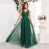 preiswerte Abendkleider-A-Linie Abendkleid Elegant Kleid Abendgesellschaft Abschlussball Bodenlang Ärmellos V Ausschnitt Gürtel / Schärpe Tüll V-Ausschnitt mit Glitzer Stickerei 2025