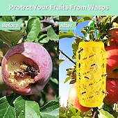 economico Supporto e Cura degli Animali-vespa da esterno &amp;trappole per api - giallo brillante con motivo esagonale nero, materiale PP resistente, acchiappa-insetti riutilizzabile per calabroni, moscerini della frutta &amp;di più - non serve