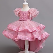 cheap Party Dresses-Kids Girls&#039; Party Dress Sequin Sleeveless Wedding Special Occasion Sequins Ruched Zipper Adorable Sweet Polyester Asymmetrical Party Dress Tulle Dress Summer Spring Fall 4-12 Years Pink Purple Green