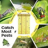 economico Supporto e Cura degli Animali-1 rotolo di trappola per mosche gigante appiccicosa adatta per uso interno ed esterno - nastro a strisce gialle e rosse brillanti per il controllo di zanzare, mosche e insetti