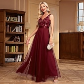 preiswerte Abendkleider-A-Linie Abendkleid Elegant Kleid Abendgesellschaft Abschlussball Bodenlang Ärmellos V Ausschnitt Gürtel / Schärpe Tüll V-Ausschnitt mit Glitzer Stickerei 2025