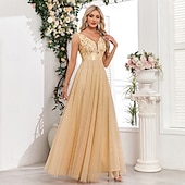 preiswerte Abendkleider-A-Linie Abendkleid Elegant Kleid Abendgesellschaft Abschlussball Bodenlang Ärmellos V Ausschnitt Gürtel / Schärpe Tüll V-Ausschnitt mit Glitzer Stickerei 2025