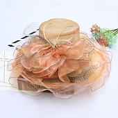 ieftine pălării de petrecere-Palarie organza Oficial Plajă Elegant Cu Funde Diadema Articole Pentru Cap