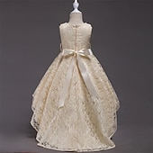 Дети Девочки Платье для вечеринки Сплошной цвет Без рукавов Выступление День рождения Красивый Милая Полиэстер Ассиметричное Платье для вечеринки Платье в стиле 50-х годов Платье A-силуэта Лето 4 Недорогие Платья для вечеринки-Дети Девочки Платье для вечеринки Сплошной цвет Без рукавов Выступление День рождения Красивый Милая Полиэстер Ассиметричное Платье для вечеринки Платье в стиле 50-х годов Платье A-силуэта Лето 4