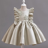 preiswerte Partykleider-Kleinkind Mädchen Partykleid Blumen Ärmellos Hochzeit Party Gerafft Reißverschluss Knotenbinde Niedlich Prinzessin Polyester Knielang Partykleid Sommer Frühling Herbst 4-7 Jahre Weiß Champagner