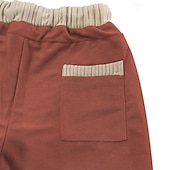baratos Shorts de moletom-Homens calções atléticos Shorts de moletom Calção Shorts de verão Bolsos Com Cordão Cintura elástica Bloco de cor Conforto Respirável Curto Ao ar livre Esportes Clássico Casual Preto Azul