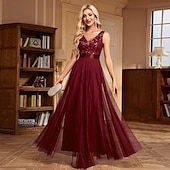 preiswerte Abendkleider-A-Linie Abendkleid Elegant Kleid Abendgesellschaft Abschlussball Bodenlang Ärmellos V Ausschnitt Gürtel / Schärpe Tüll V-Ausschnitt mit Glitzer Stickerei 2025