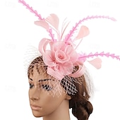 preiswerte Faszinator-Kopfstück Federn Hochzeit Abendgesellschaft Elegant Hochzeit Mit Feder Kopfschmuck Kopfbedeckung