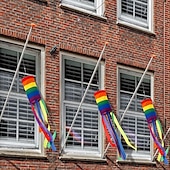 economico Bandiere da Giardino, Striscione-Giugno Mese del Pride Bandiera di Colonna Windsock Arcobaleno Volare nella Brezza Bandiera Decorativa per Giardino LGBT+ con Code Arcobaleno Lunghe Felice Pride