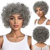 abordables Perruques de qualité supérieure-Perruque Synthétique Frisé Jerry Vague d&#039;eau Coupe Asymétrique Avec frange Fabriqué à la Machine Perruque 12 pouces A1 Cheveux synthétiques Femmes Classique Adorable Confortable Gris