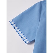 abordables Classique-Homme Chemise Chemise Lin Chemise de plage Plaid Intérieur Vacances Bleu Vert Kaki Manche Courte Col rabattu Eté Vêtement Tenue