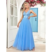 preiswerte Abendkleider-A-Linie Abendkleid Elegant Kleid Abendgesellschaft Abschlussball Bodenlang Ärmellos V Ausschnitt Gürtel / Schärpe Tüll V-Ausschnitt mit Glitzer Stickerei 2025