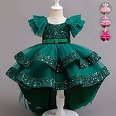 cheap Party Dresses-Kids Girls&#039; Party Dress Sequin Sleeveless Wedding Special Occasion Sequins Ruched Zipper Adorable Sweet Polyester Asymmetrical Party Dress Tulle Dress Summer Spring Fall 4-12 Years Pink Purple Green
