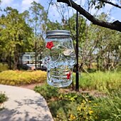 cheap Backyard Birding &amp; Wildlife-Hummingbird Feeder for Outdoors Hanging, Skull Shaped Humming Bird Feeder with 4 Feeding Ports, Halloween Gothic Bird Feeder Garden Backyard Decorative, Clear