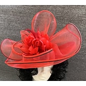 baratos Chapéus e Fascinators-Chapéu de Velo com Fascinators para Casamento Corrida de Cavalos com Cabeça de Pena