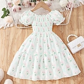 abordables Robes Décontracté-Enfants Fille Robe Fleuri Manche Courte Extérieur Occasionnel Mode Adorable 100% Coton Mi-long Robe Décontractée Robe trapèze Été 4 ans et + Rose Claire Rouge Bleu