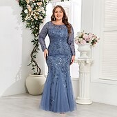 cheap Plus Size Dresses-Mermaid / Trumpet Evening Gown Sparkle Dress Formal Floor Length Long Sleeve Crew Neck Champagne Mother Of the Bride Dress Tulle with Embroidery 2025