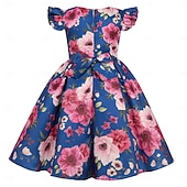 cheap Casual Dresses-Kids Girls&#039; Party Dress Graphic Sleeveless Special Occasion Princess Polyester Party Dress Summer Spring kids Yellow Wine Blue