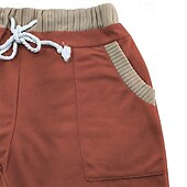baratos Shorts de moletom-Homens calções atléticos Shorts de moletom Calção Shorts de verão Bolsos Com Cordão Cintura elástica Bloco de cor Conforto Respirável Curto Ao ar livre Esportes Clássico Casual Preto Azul