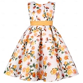 preiswerte Casual Kleider-Kinder Mädchen Partykleid Grafik Kurzarm Besonderer Anlass Prinzessin Polyester Partykleid Sommer Frühling Kinder Gelb