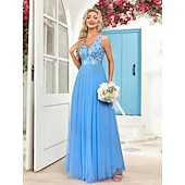 preiswerte Abendkleider-A-Linie Abendkleid Elegant Kleid Abendgesellschaft Abschlussball Bodenlang Ärmellos V Ausschnitt Gürtel / Schärpe Tüll V-Ausschnitt mit Glitzer Stickerei 2025