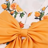 preiswerte Casual Kleider-Kinder Mädchen Partykleid Grafik Kurzarm Besonderer Anlass Prinzessin Polyester Partykleid Sommer Frühling Kinder Gelb