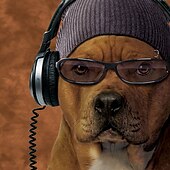 ieftine Tricouri cu imprimeu animal-bono pitbull vincent hie tricou 3d pentru bărbați tricou cu mânecă scurtă cu imprimeu 3d cămașă cu gâtul roșu exagerat de designer petrecere pe stradă casual maro vară primăvară toate anotimpurile