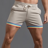 abordables Pantalones cortos de sudor-Hombre Pantalones deportivos Pantalones cortos de sudor Pantalón corto Pantalones cortos de verano Correa Bolsillo Cintura elástica Arco iris Comodidad Transpirable Corto Exterior Deportes Clásico