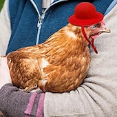 economico Supporto e Cura degli Animali-Cappello da pollo in fibra di poliestere resistente con chiusura a coulisse per la protezione del pollame, adatto a varie razze di polli