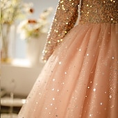 preiswerte Partykleider-Kinder Mädchen Kleid Partykleid Einfarbig Langarm Leistung Pailletten Netz Prinzessin Süß Netzstoff Knöchellang Etui-Kleid Tüllkleid Sommer Frühling Herbst Kinder Rosa Wein Khaki