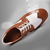 abordables Chaussures de danse-Homme Brogue Brogue Danse Disco Cuir PU Respirant Confortable Antidérapant À lacets Noir / blanc Noir Marron Automne Hiver