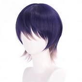 economico Parrucche Anime-Parrucca Sintetica Sword and sword also vtuber rainbow Club Liscio Liscio naturale Asimmetrico Frangia Dritta Fatto a macchina Parrucca 12 pollici A1 Capelli Sintetici Per donna Classico Confortevole
