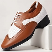 abordables Chaussures de danse-Homme Brogue Brogue Danse Disco Cuir PU Respirant Confortable Antidérapant À lacets Noir / blanc Noir Marron Automne Hiver