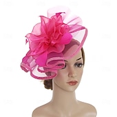 billige Fascinatorer-Hodeplagg Fjær Organza Fedora Hatt Bryllup Kveld Fest Te Fest Hesteløp Cocktail Vintage Sjarmerende Med Fjær Blomster Hodepryd Hodebekledning