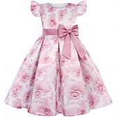 cheap Party Dresses-Kids Girls' Party Dress Solid Color Graphic Sleeveless Performance Special Occasion Princess Sweet Polyester Party Dress Summer Spring kids Pink Blue Brown