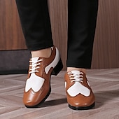 abordables Chaussures de danse-Homme Brogue Brogue Danse Disco Cuir PU Respirant Confortable Antidérapant À lacets Noir / blanc Noir Marron Automne Hiver