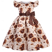 cheap Party Dresses-Kids Girls' Party Dress Solid Color Graphic Sleeveless Performance Special Occasion Princess Sweet Polyester Party Dress Summer Spring kids Pink Blue Brown