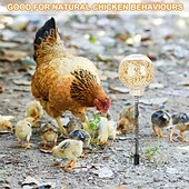 お買い得  動物のサポートとケア-プラスチック製の鶏つつきおもちゃ 2 個パック、吊り下げ式のスローフィーダー付き、家禽、アヒル、鳥、オウム、猫、リス - インタラクティブな動物のおもちゃ