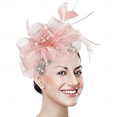 غطاء للرأس ريشة صاف قبعة فيدورا زفاف حفلة ليلية حفلة شاي سباق خيول كوكتيل عتيق لطيف مع ريش خوذة أغطية الرأس رخيصةأون فاسيناتور وقبعات-غطاء للرأس ريشة صاف قبعة فيدورا زفاف حفلة ليلية حفلة شاي سباق خيول كوكتيل عتيق لطيف مع ريش خوذة أغطية الرأس